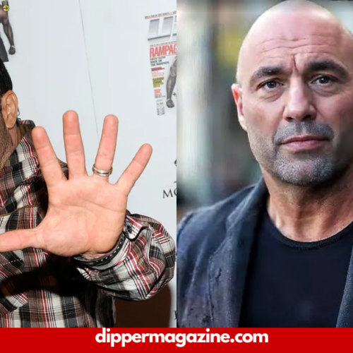 Joe Rogan Net Worth